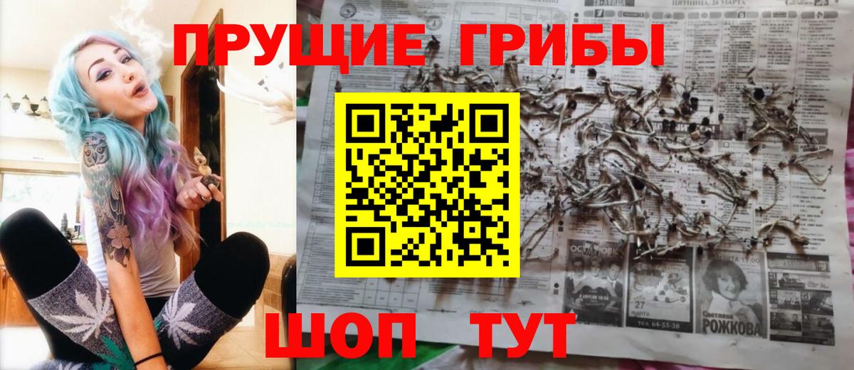 Псилоцибиновые грибы Cubensis  Вход с VPN  Псилоцибиновые грибы GOLDEN TEACHER  Еманжелинск 